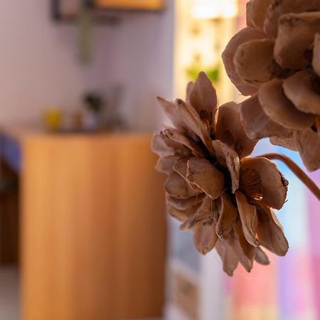 Apartament Casa Mati Alghero Zewnętrze zdjęcie