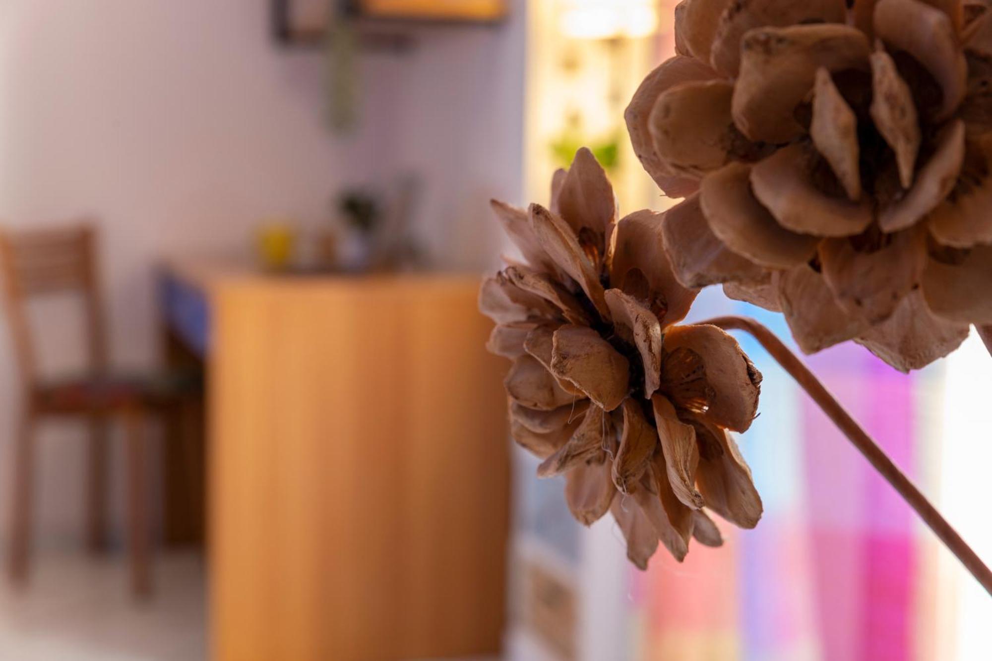 Apartament Casa Mati Alghero Zewnętrze zdjęcie